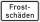 Frostschäden
