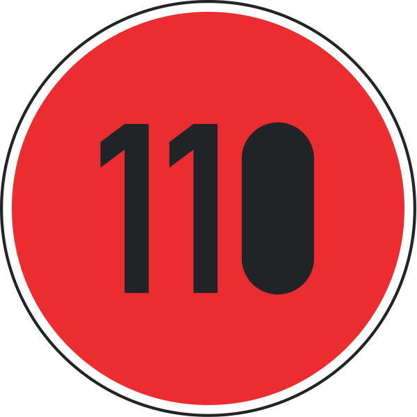 Zulässige Höchstgeschwindigkeit "110"