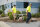 Probst H-FVZ-UNI Hand-Findling-Versetzzange 53200086, 18 kg