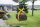 Probst Findling-Versetzzange FVZ-UNI 53100272, 99 kg