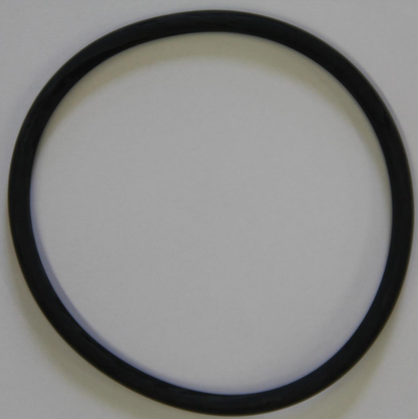 PROBST Ersatzteile O-Ring, 100 x 6, Werkst. EPDM, Shore-Härte ca. 60 - 70 21550058