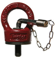 Ringschrauben, variabel, kugelgelagert, mit Schlüssel FS115-306