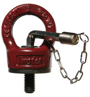 CARTEC® Ringschraube mit Imbusschlüssel (drehbar-kugelgelagert), GK10, M30, 4500 kg (90°)/4500 kg (0°) RSHVKSX30