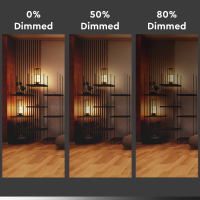 Shada LED Filament Leuchtmittel 620151 Globe G45 E27 Klar 4,5 W, warmweiß (2700 K), dimmbar