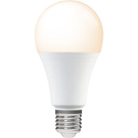 Shada LED SMD Leuchtmittel A70 620107 E27 Opal Warmweiß 2700 K, 16 W, 1900 lm