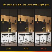 Shada LED Spot MR16 GU10 620124 klar, 1800-2700 K, 36°, 3,6 W, dimmbar