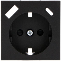 Shada Einlegeplatte 2900143 1x USB A+C Mattschwarz, 55x55 mm, Kompatibel mit Gängigen Schalterserien