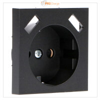 Shada Einlegeplatte 2x USB-A 2900144 Mattschwarz, 55x55 mm, Unterputz, für gängige Schalterprogramme