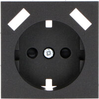 Shada Einlegeplatte 2x USB-A 2900144 Mattschwarz, 55x55 mm, Unterputz, für gängige Schalterprogramme