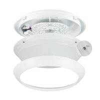 Shada LED-Deckenleuchte 230253 CCT, 15 W, 2050 lm, Ø 306 mm, IP66, IK10 Schlagfest