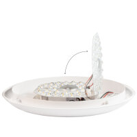 Shada LED-Deckenleuchte 230253 CCT, 15 W, 2050 lm, Ø 306 mm, IP66, IK10 Schlagfest