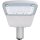 Shada LED-Straßenlaterne 2400505 Grau, 60 W, 7800 lm