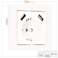 Shada Pro Charge USB-Wandsteckdose 2900135 RAL9010, 55x55 mm, 2x USB-A, 3,4 A