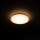Shada LED Deckenleuchte 810590 warmweiß, Ø 270 mm, 12 W, IP44