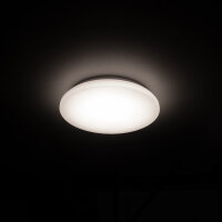 Shada LED Deckenleuchte 810591 IP44, neutralweiß 4000 K, Ø 270 mm, 12 W, 1200 lm