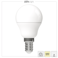 Shada LED SMD Leuchtmittel Globe G45 620109 E14 Opal, Warmweiß 2700 K, 4,9 W, 470 lm