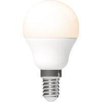 Shada LED SMD Leuchtmittel Globe G45 620109 E14 Opal, Warmweiß 2700 K, 4,9 W, 470 lm