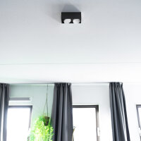 Shada Leuchte ohne Leuchtmittel 2900195 Stahl Schwarz, 2x GX53, schwenkbar, IP20